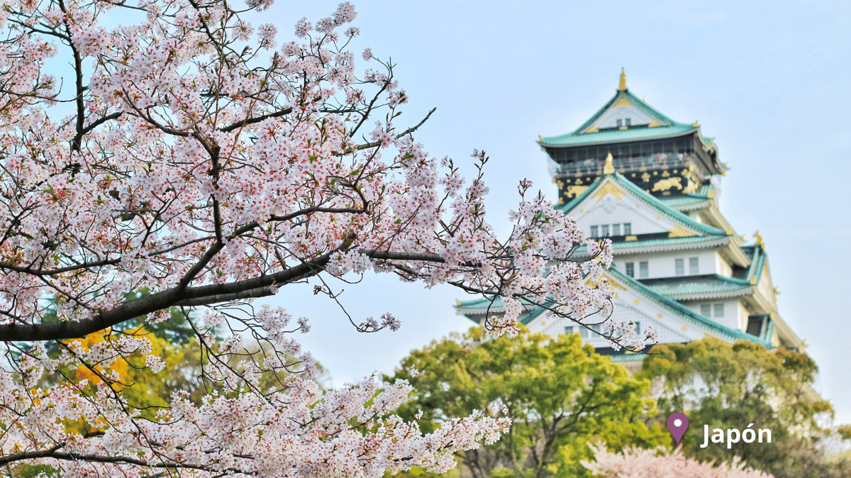 primavera-en-japon