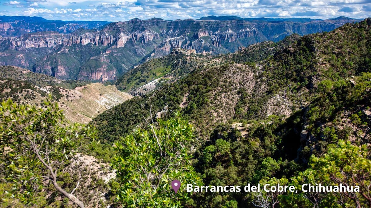 viaje a barrancas del cobre con chepe